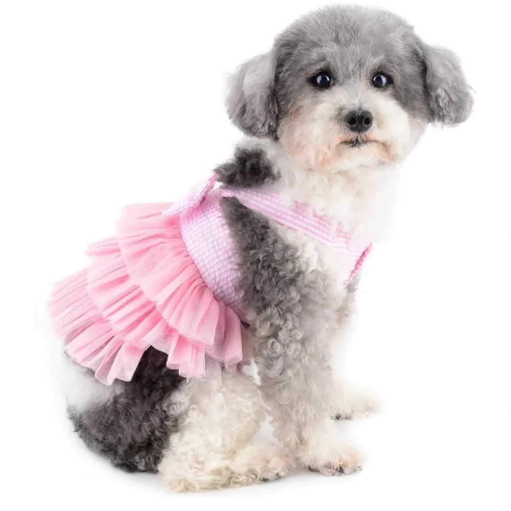 Amazon dresses chart tutu